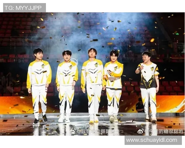 全明星赛特别报道：V5战队的拼搏历程与荣耀时刻回顾