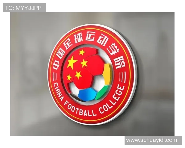 巢湖足球训练营开启青少年足球梦想之旅助力健康成长与团队精神培养