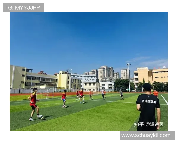 绚丽多彩的足球样式鲜花点缀绿茵场展现运动与自然的完美结合