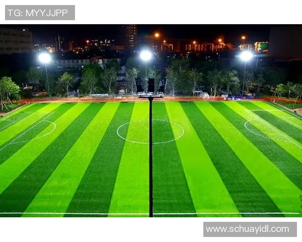 足球场真草坪的魅力与挑战探讨如何提升球员表现与观赛体验