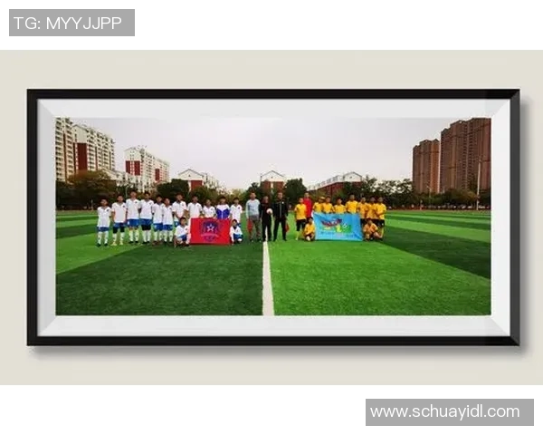 足球叠词的魅力与趣味探讨让我们一起领略这项运动的语言之美